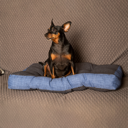 Katze- und Hundebett - weich, orthopädisch | Buggy